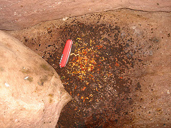 Guano de morcego frugívoro. Foto: acervo LES.